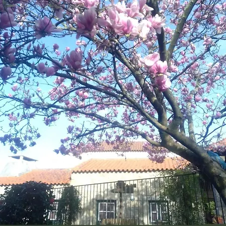 Sao Braz Terrace * Landim