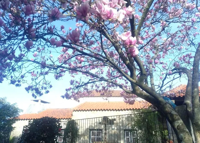 Sao Braz Terrace * Landim